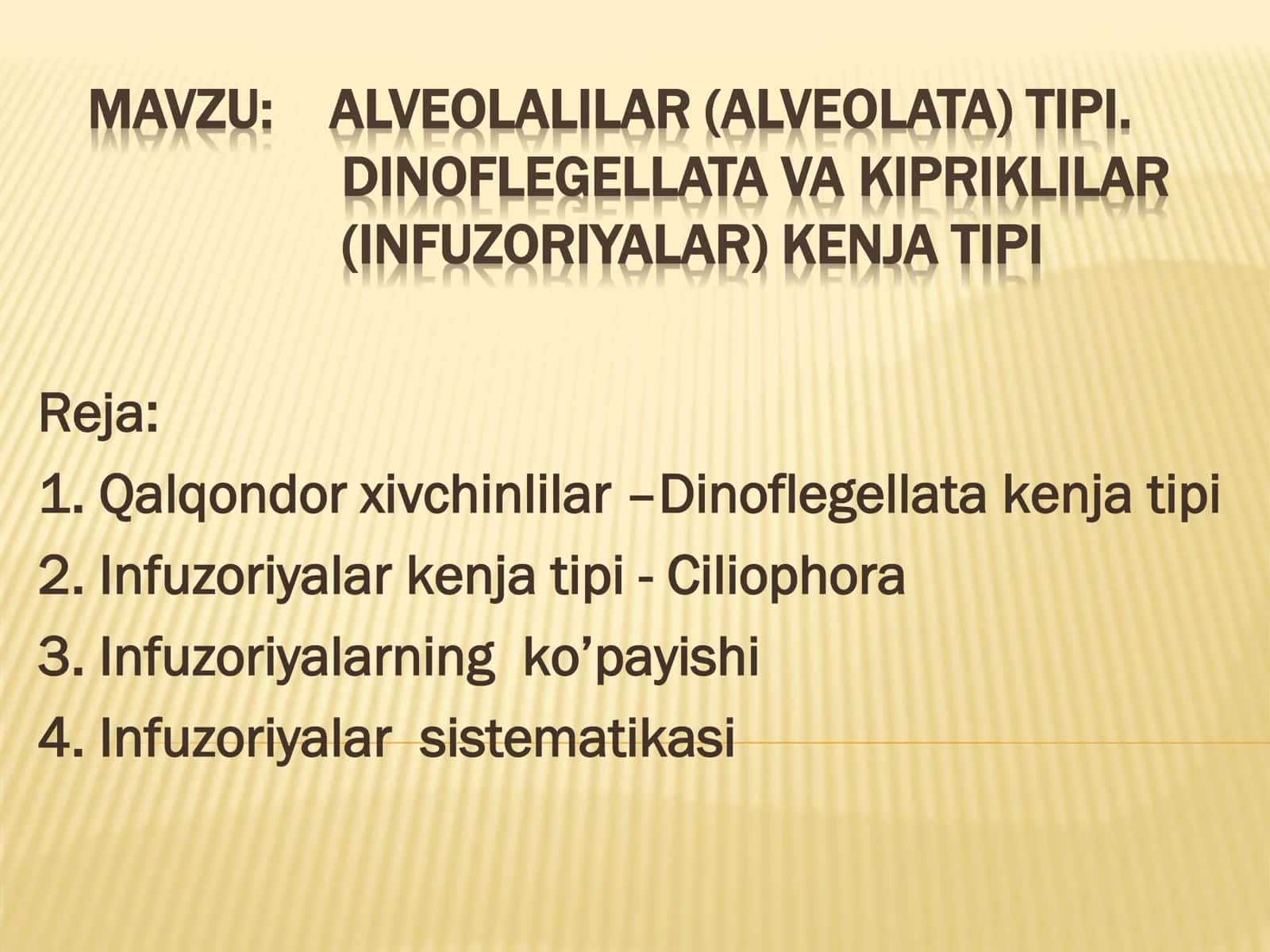 ALVEOLALILAR (ALVEOLATA) TIPI 1