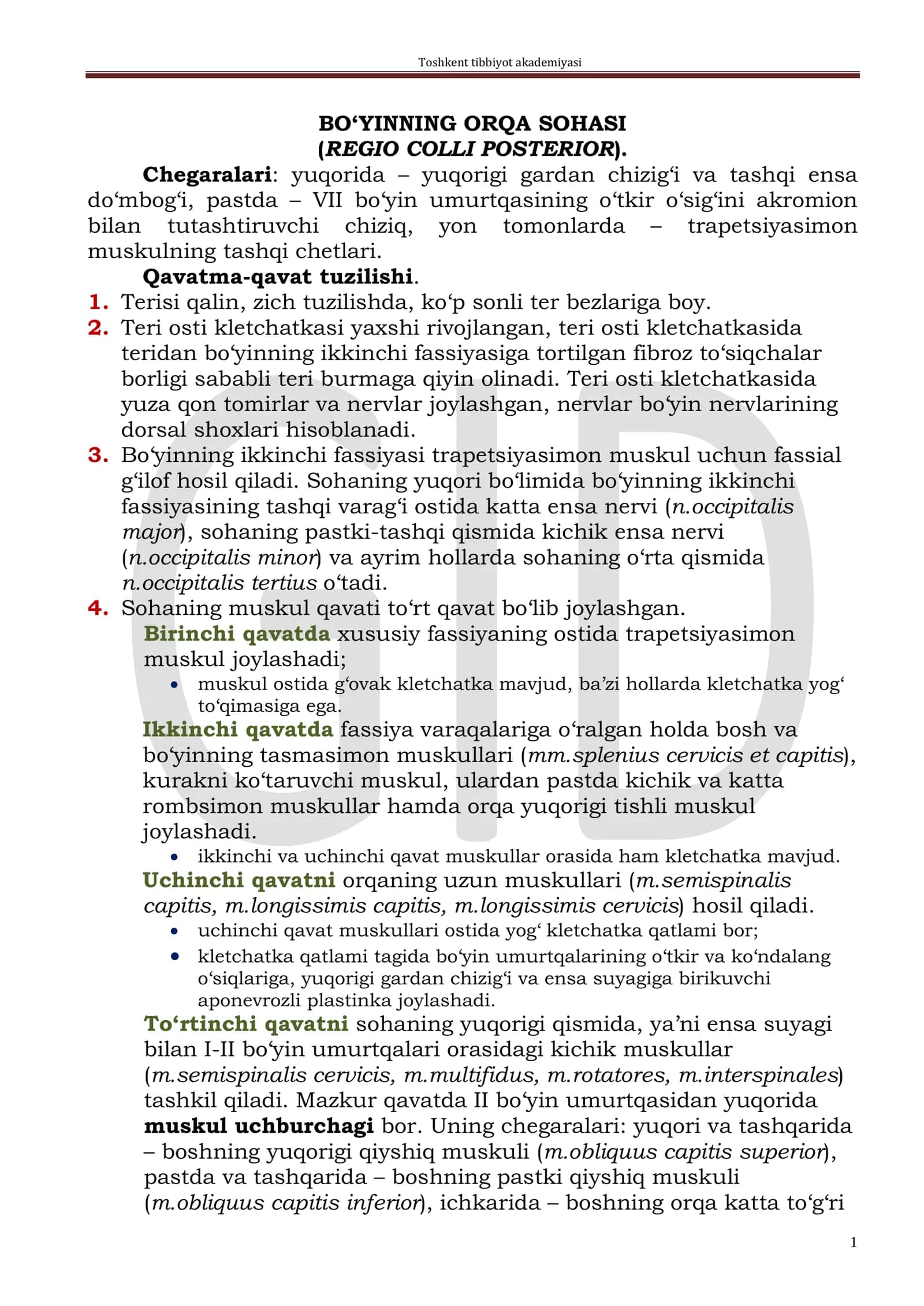 BO‘YINNING ORQA SOHASI (REGIO COLLI POSTERIOR) 1