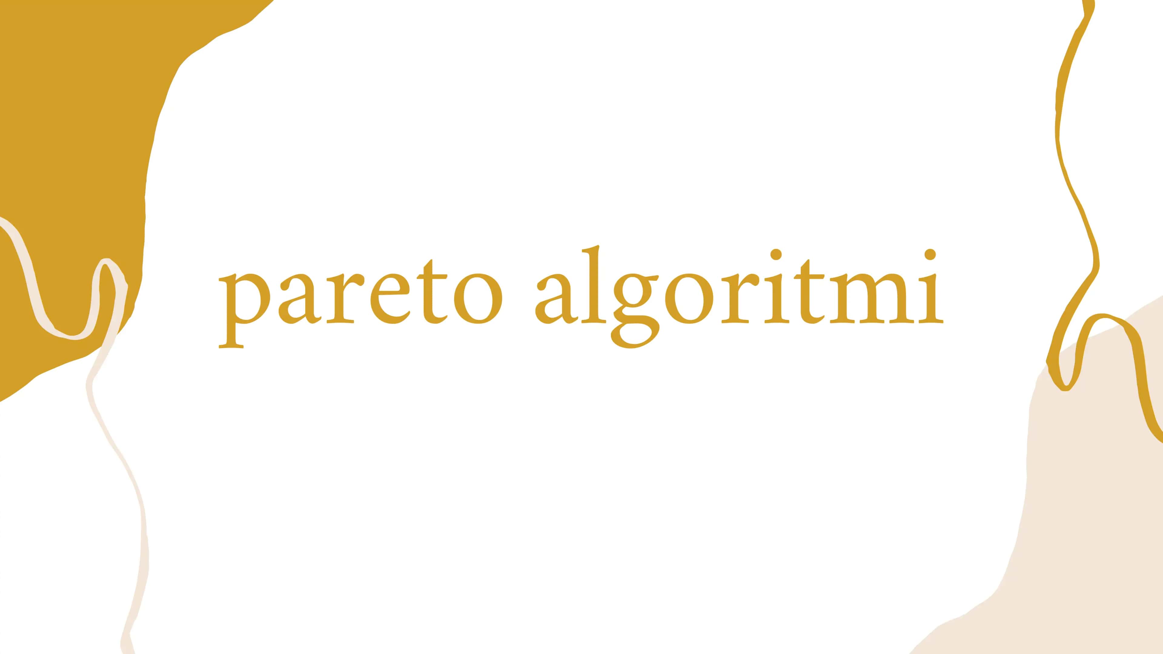 pareto algoritmi 1