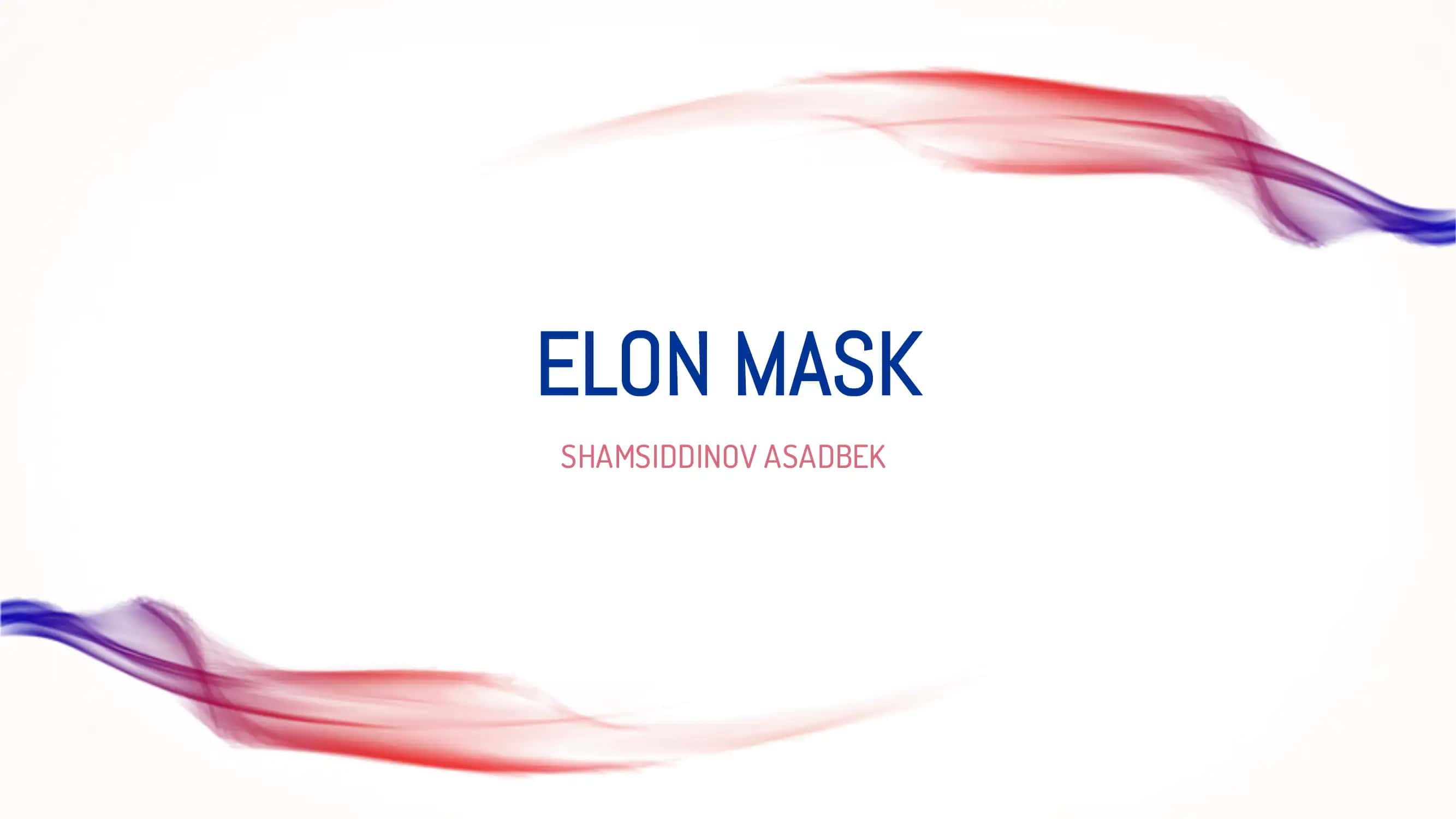 ELON MASK 1