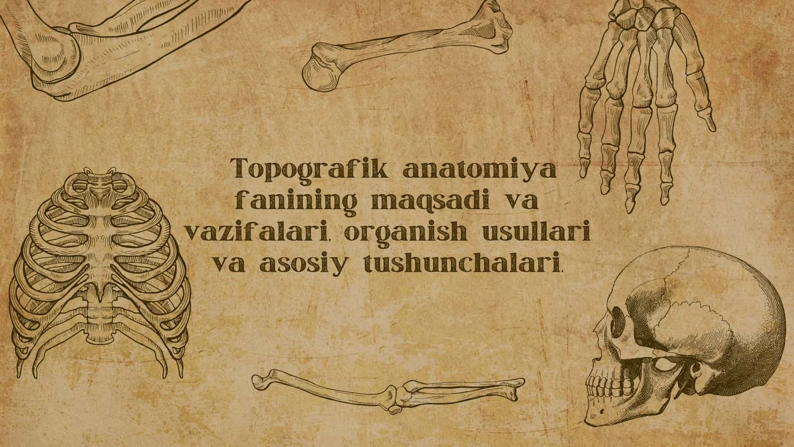 Topografik anatomiya fanining maqsadi va vazifalari, organish usullari va asosiy tushunchalari. 1