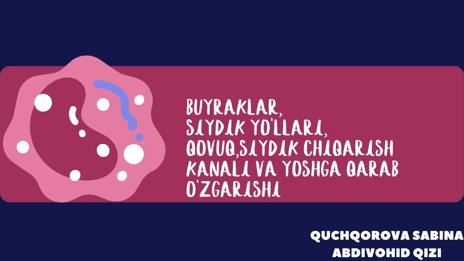 QUCHQOROVA SABINA ABDIVOHID QIZI BUYRAKLAR 1