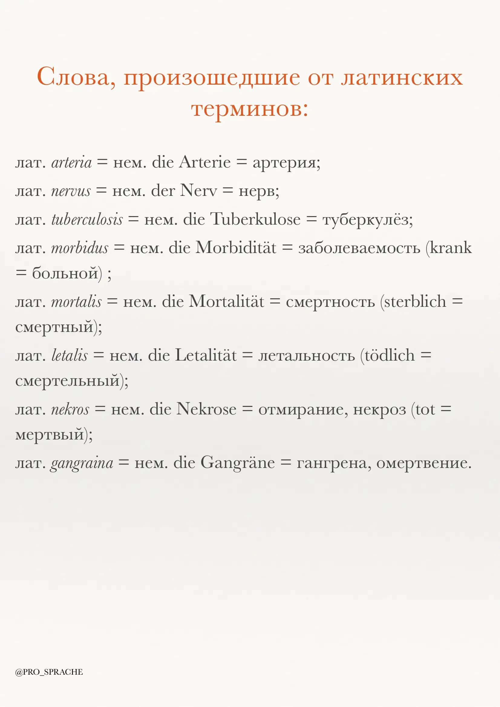 So'zlar nemis rus tili 1
