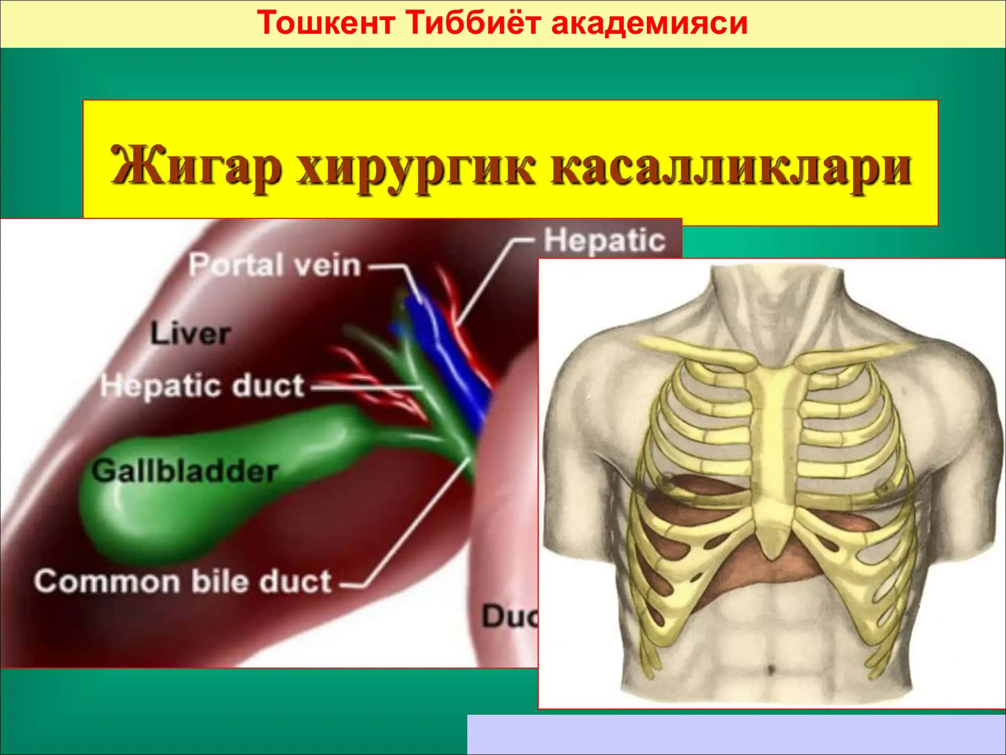 Jigar xirurgik kasalliklari 1