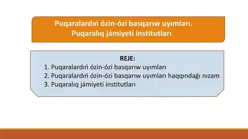 Puqaralardıń ózin-ózi basqarıw uyımları. Puqaralıq jámiyeti institutları