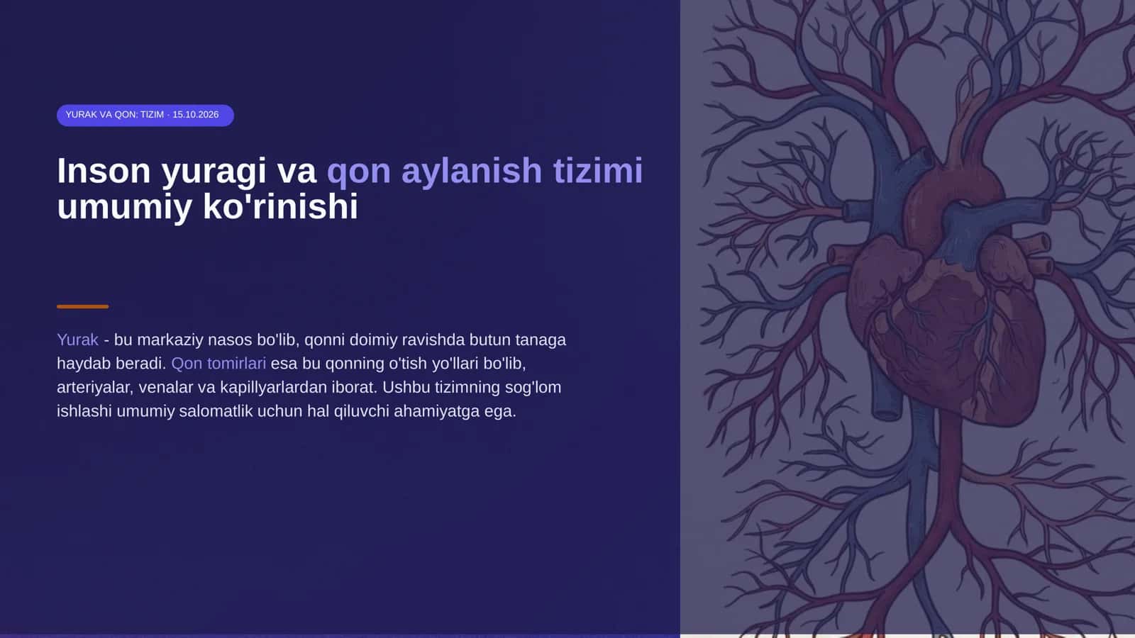 Inson yuragi va qon aylanish tizimi 1