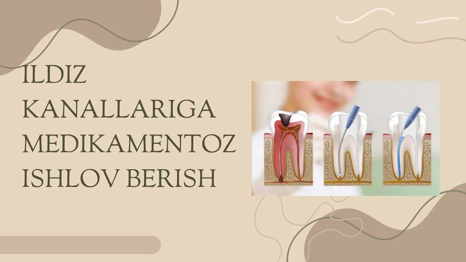 Prezentatsiya 1