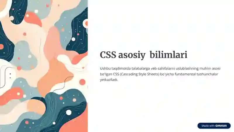 CSS asosiy bilimlari amaliy ham mavjud