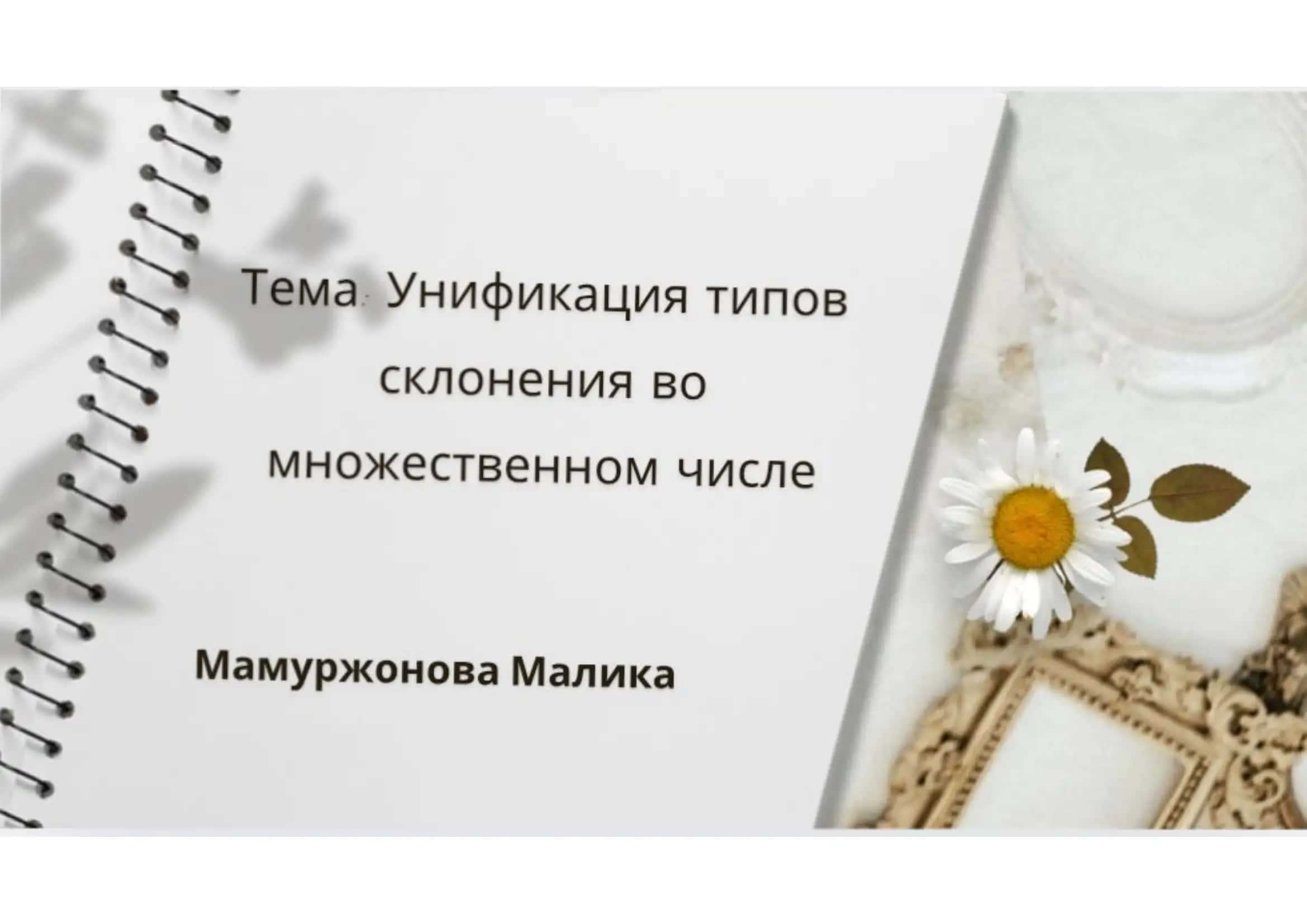 Унификация типов склонение во множественном числе 1