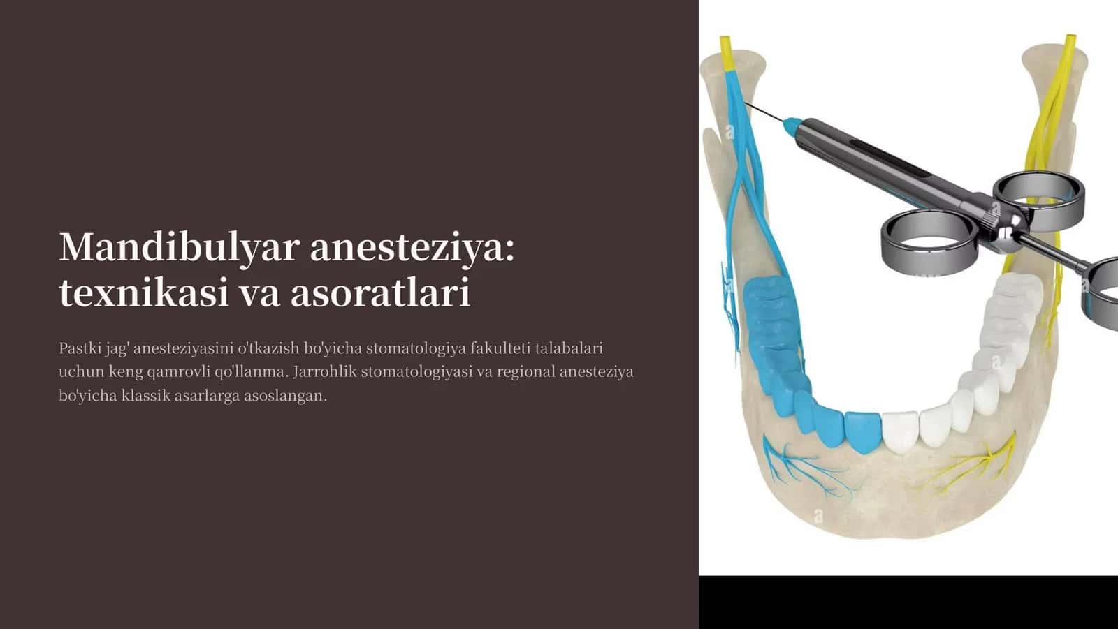 Mandibulyar anesteziya 1