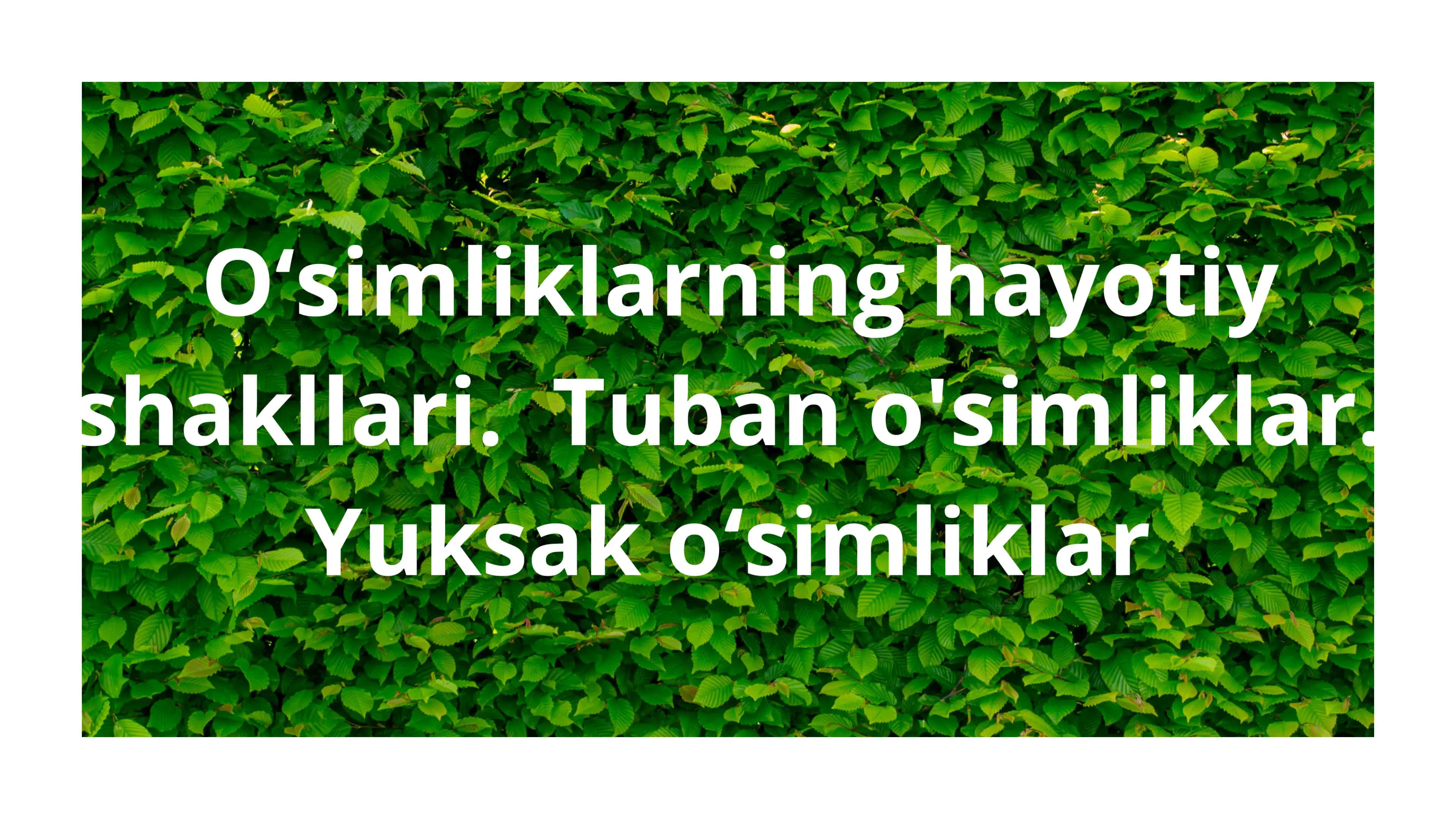 O'simliklarning hayotiy shakllari. Tuban o'simliklar. Yuksak o'simliklar 1