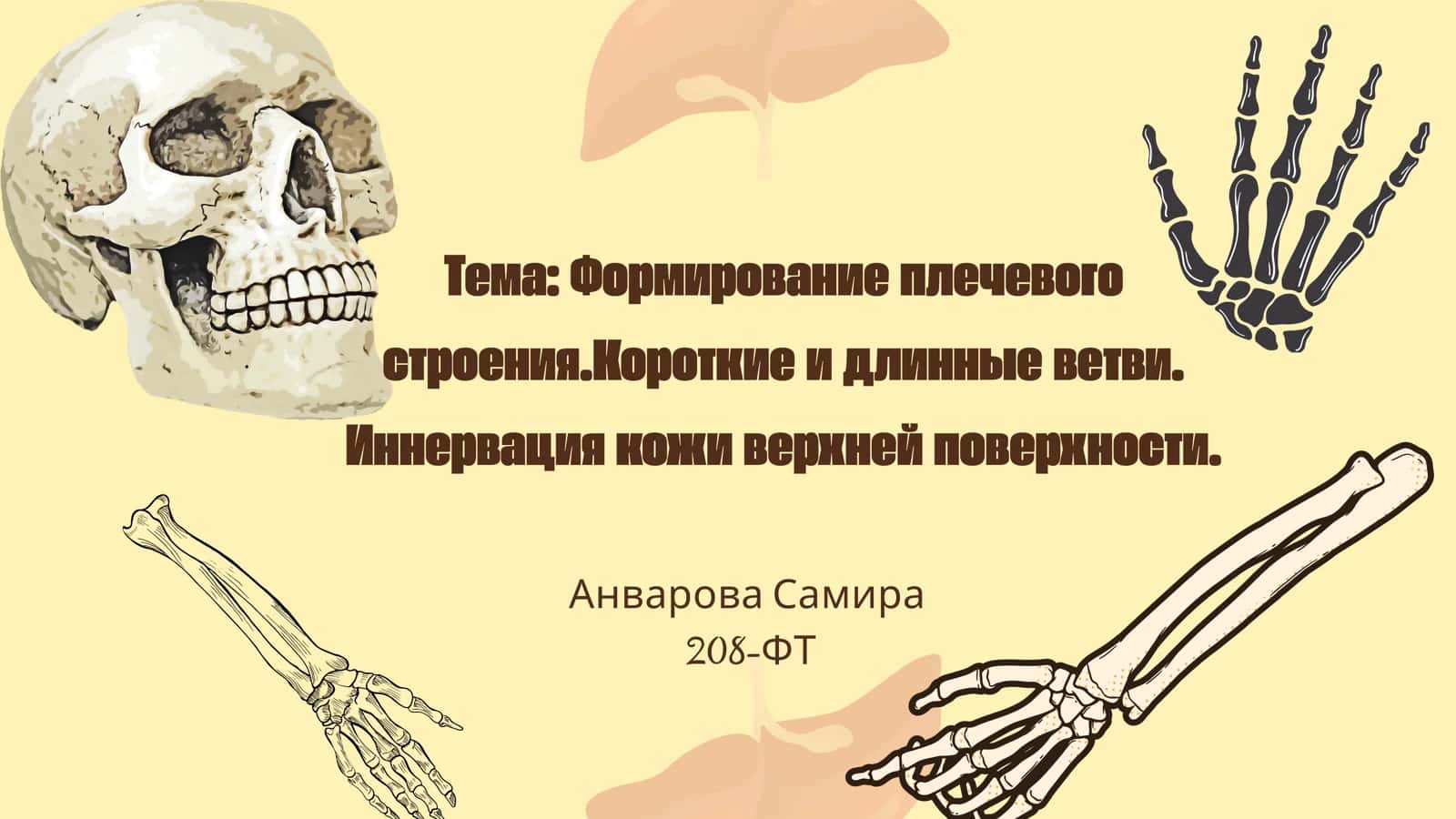 Формирование плечевого строения 1