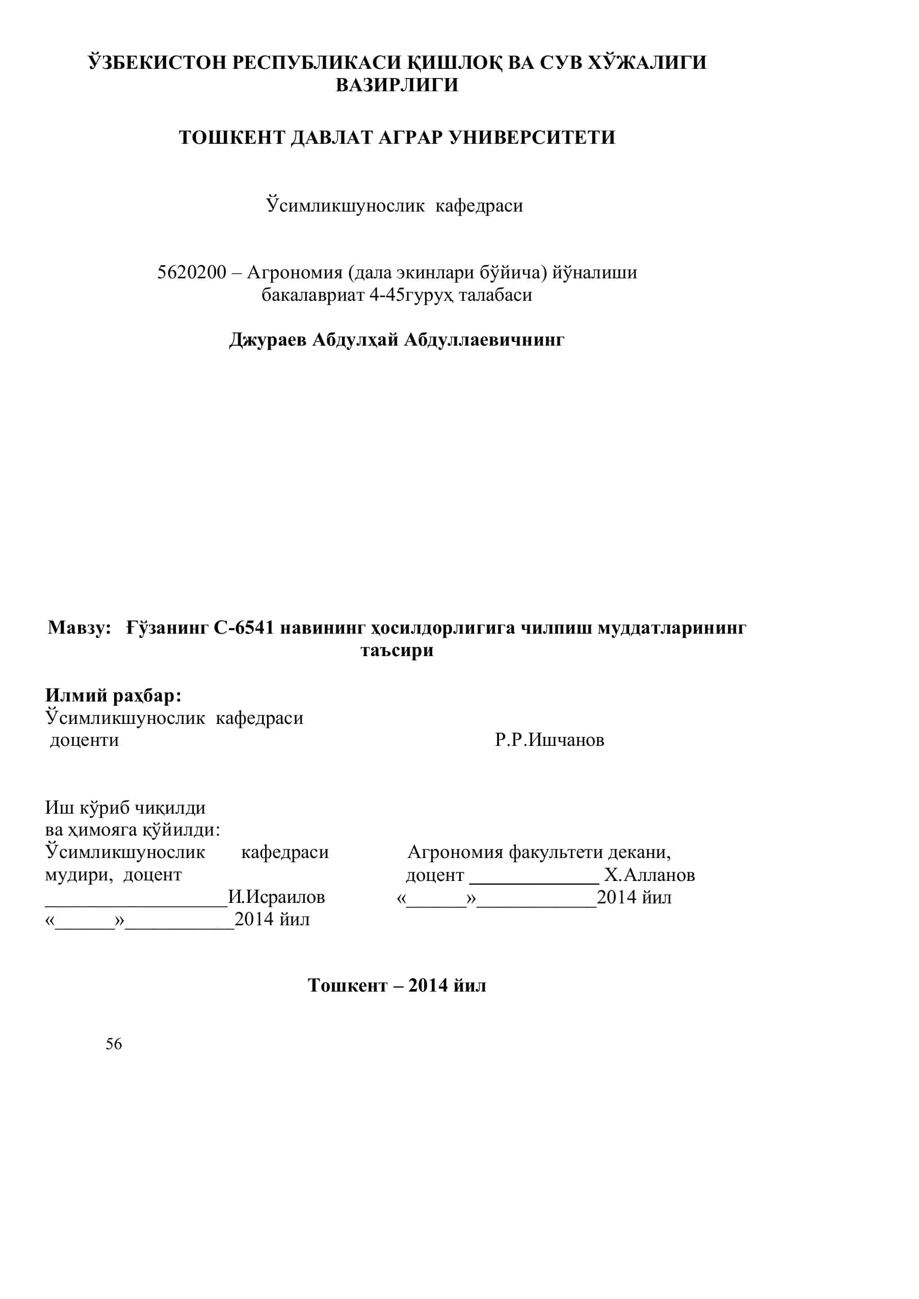 C-6541 навининг ҳосилдорлигига чилпиш муддатларининг таъсири 1