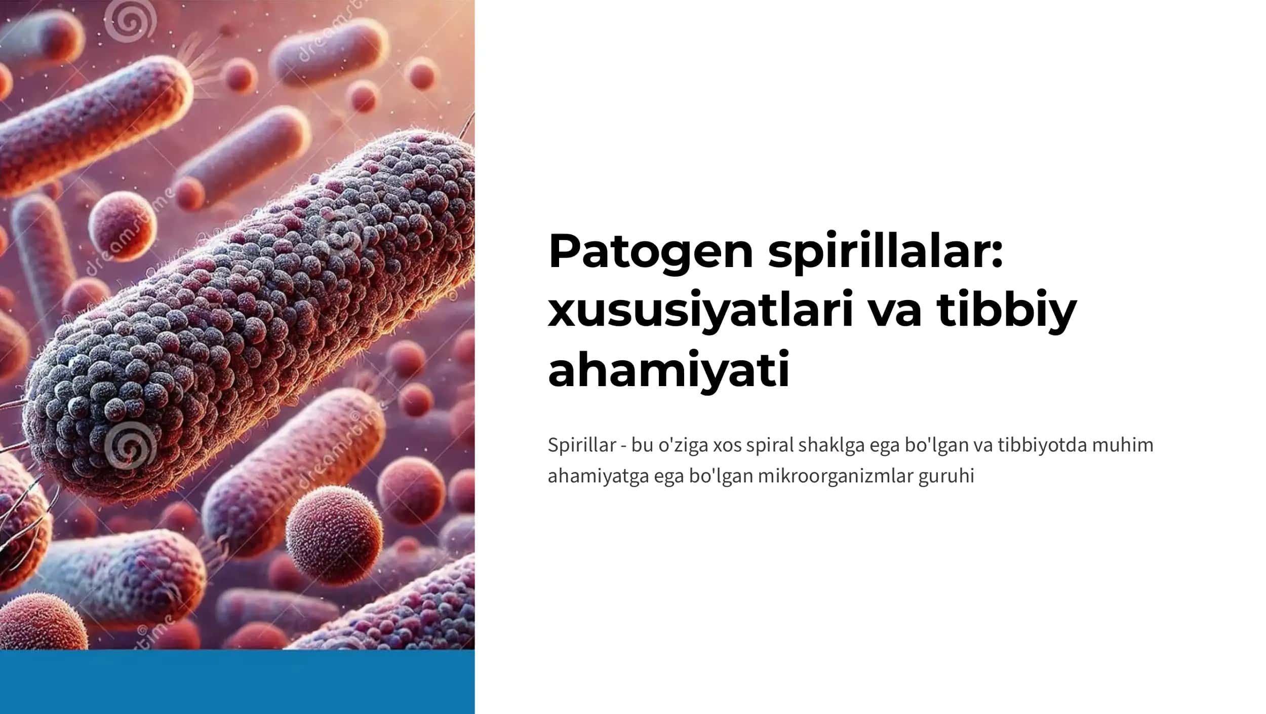Patogen spirillalar. 1