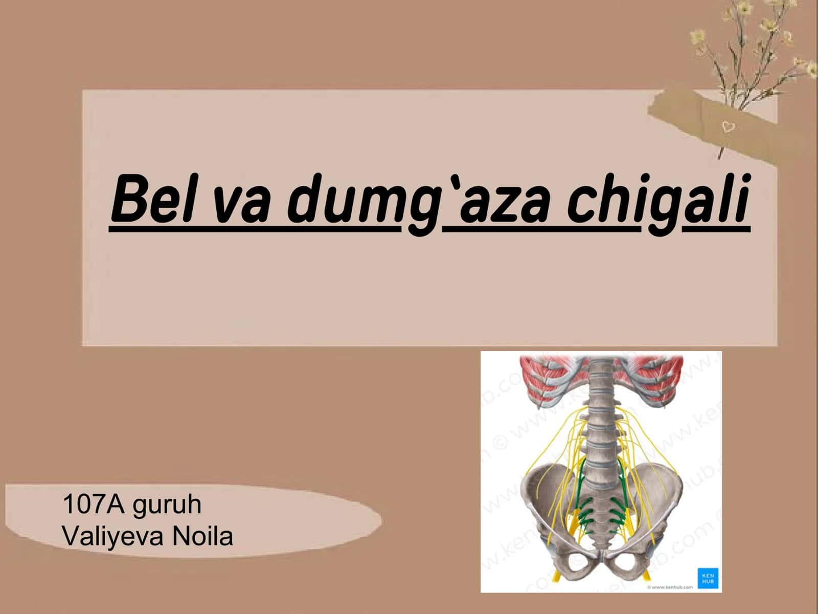 Bel va dumg`aza chigali 1