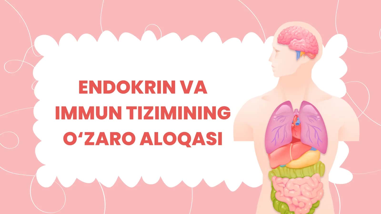 Endokrin va immun tizimining o‘zaro aloqasi 1