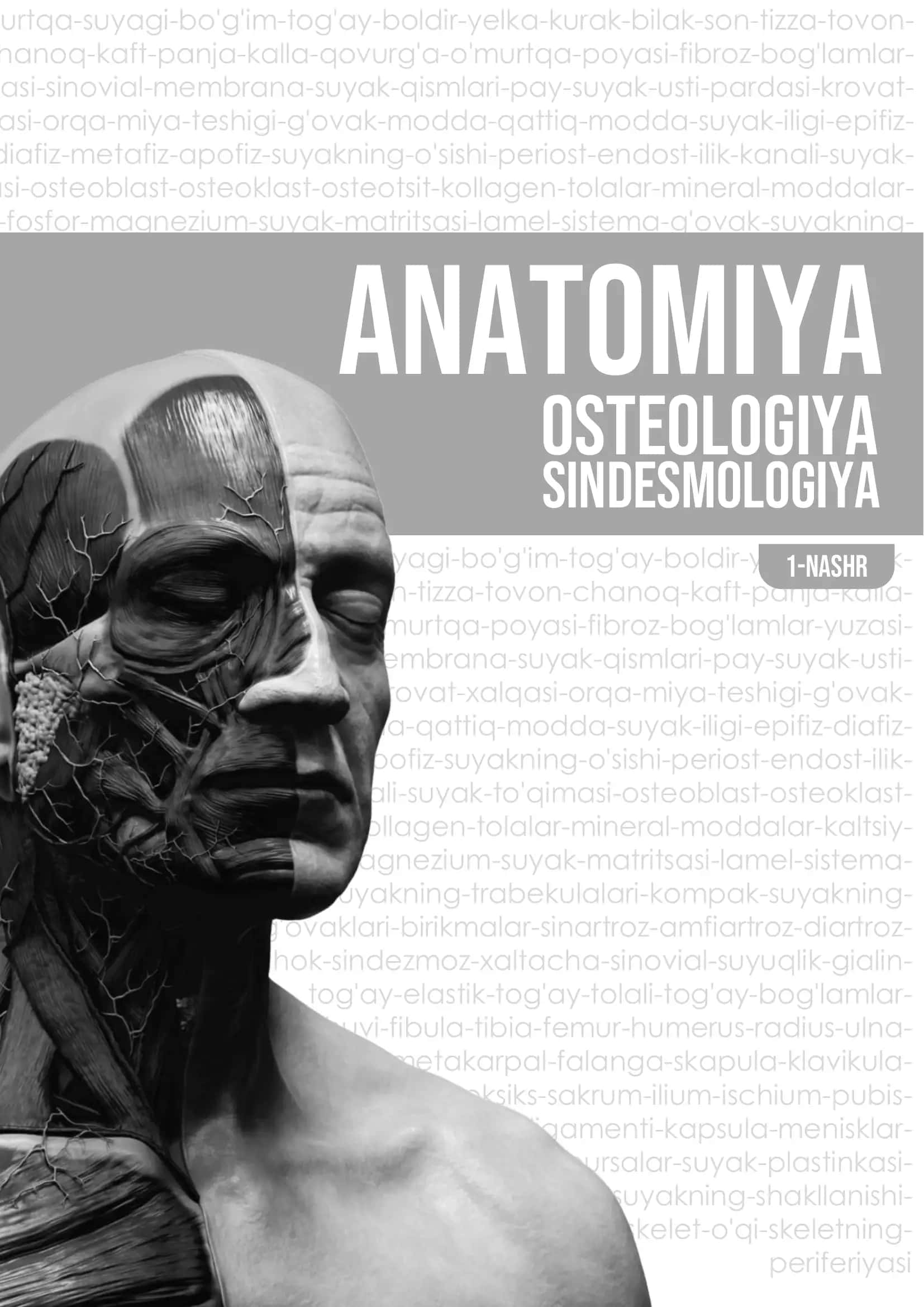 Umurtqa-suyagi 1