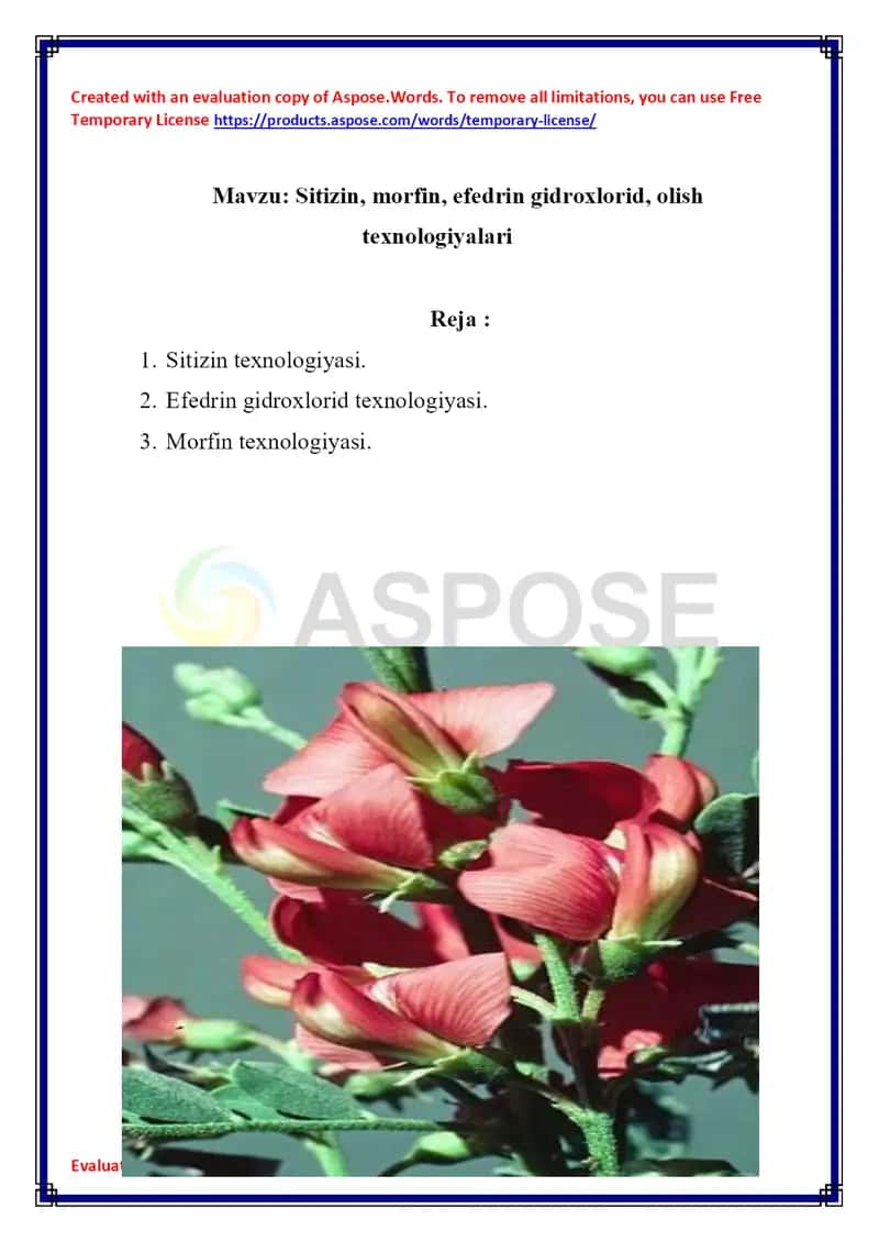 Sitizin, morfin, efedrin gidroxlorid, olish texnologiyalari 1
