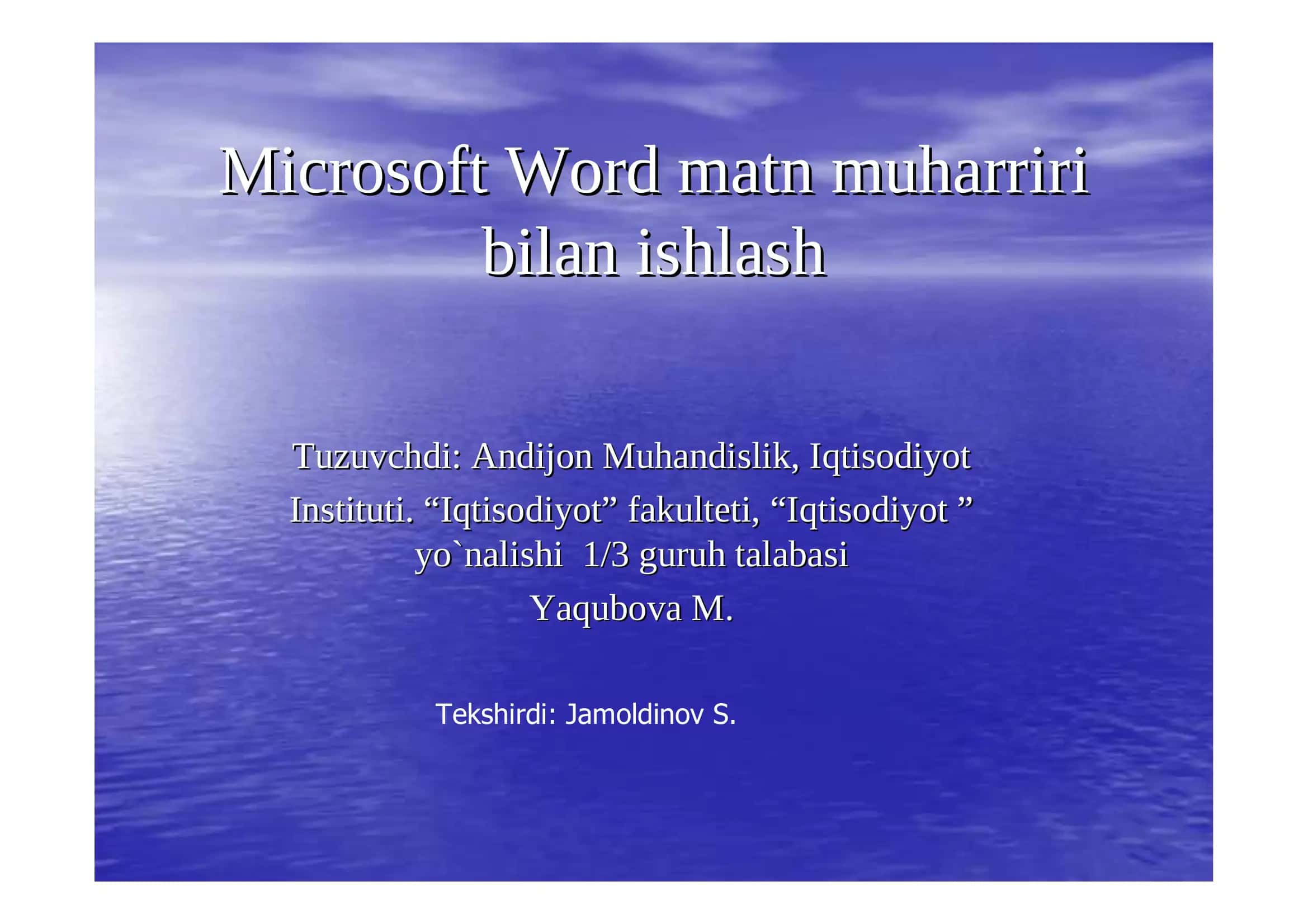 Microsoft Word 1