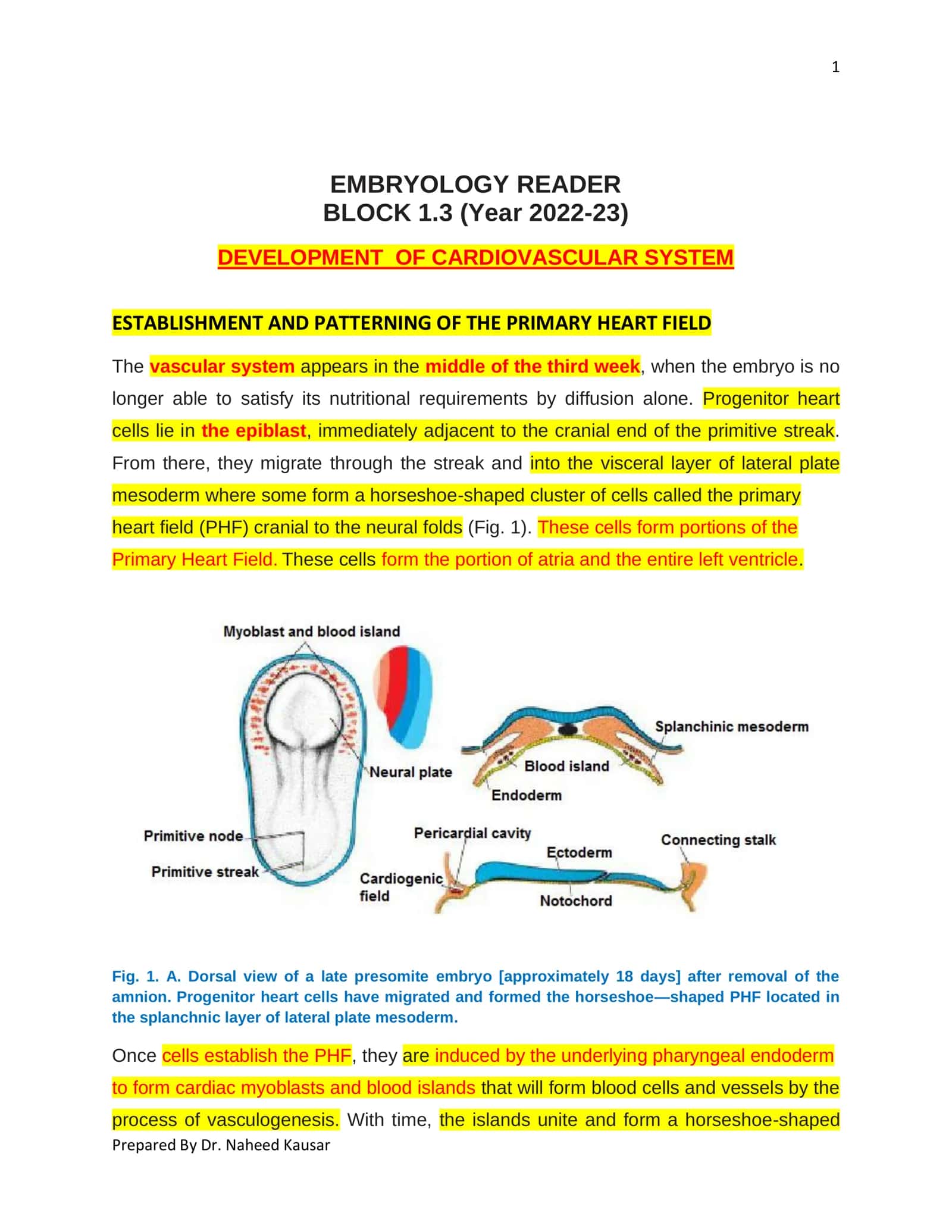 EMBRYOLOGY READER 1