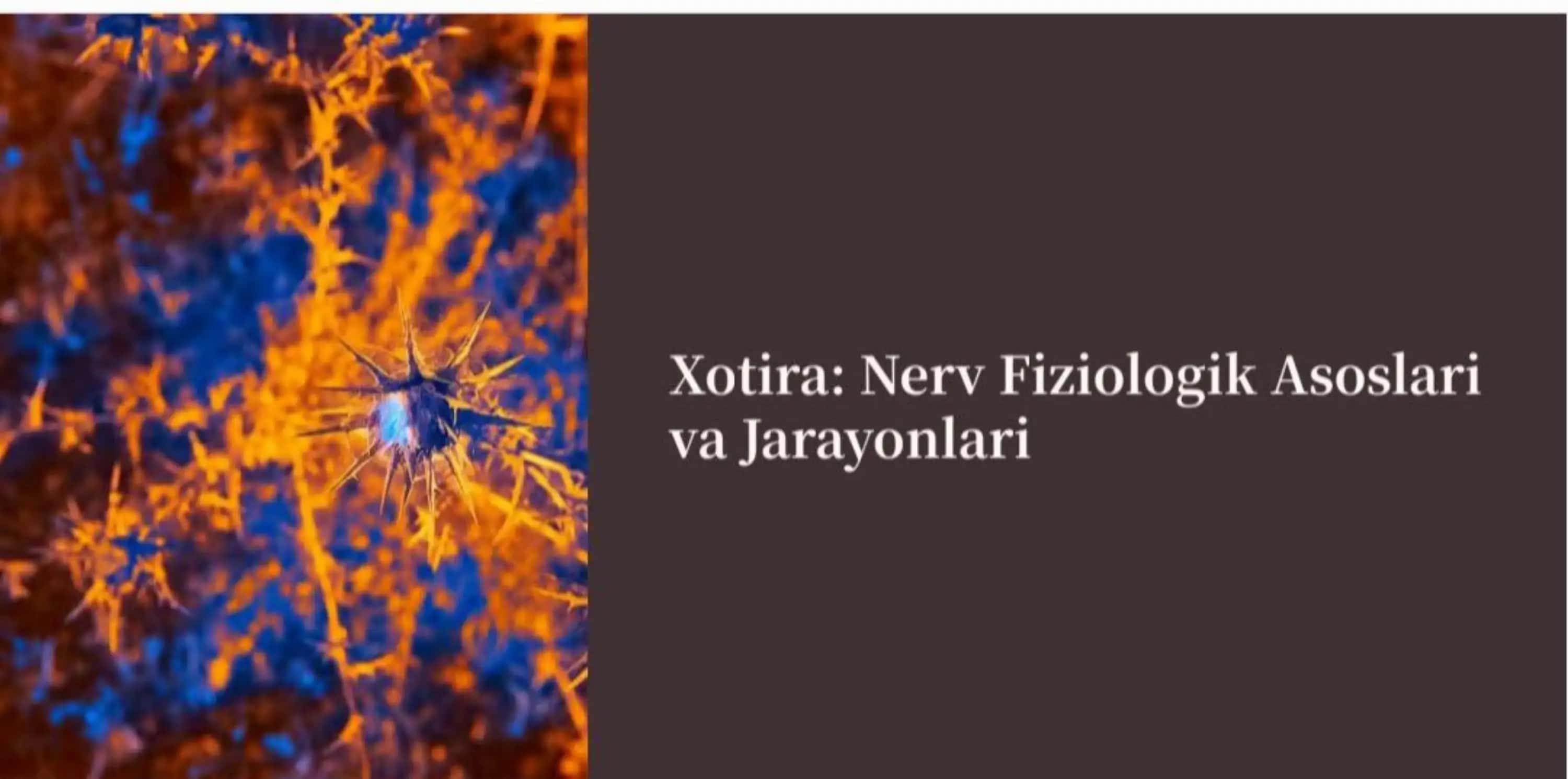 Xotira haqida slayd 1
