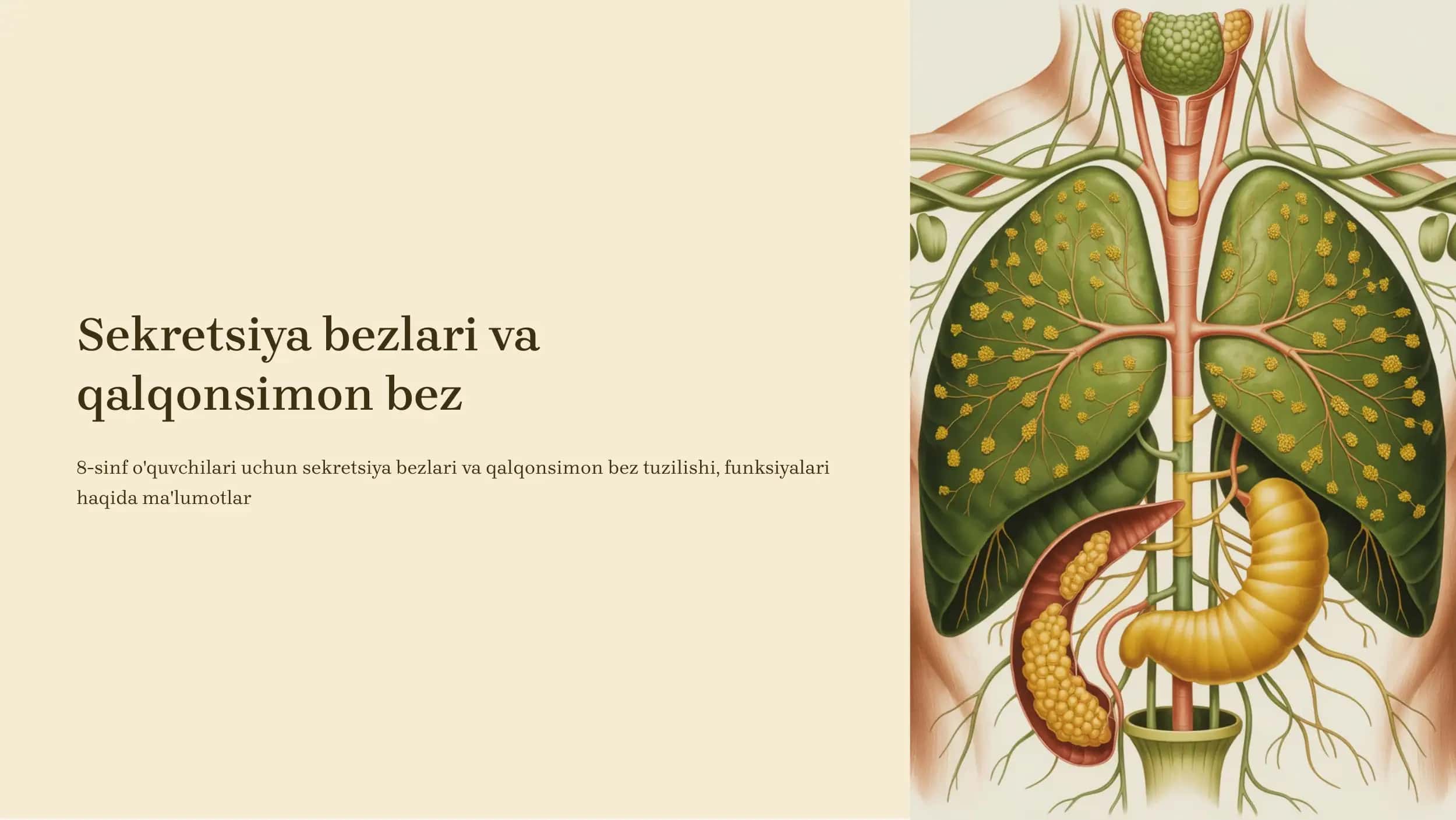 Sekretsiya bezlari va qalqonsimon bez 1