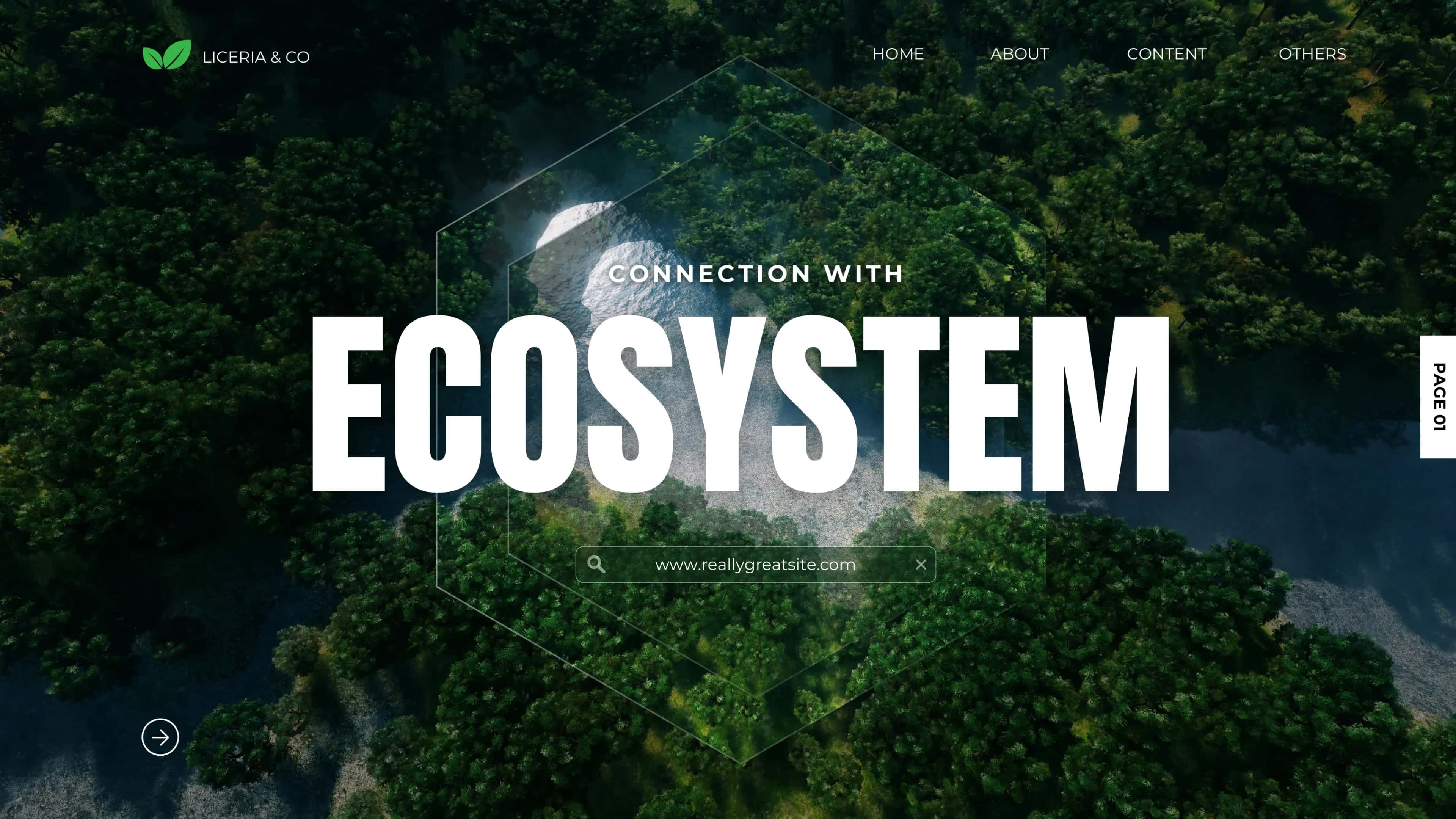 WHAT IS ECOSYSTEM? 1