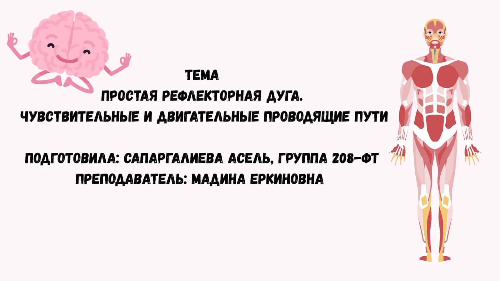 Простая рефлекторная дуга 1