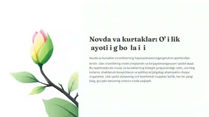 Novda va kurtaklar 1