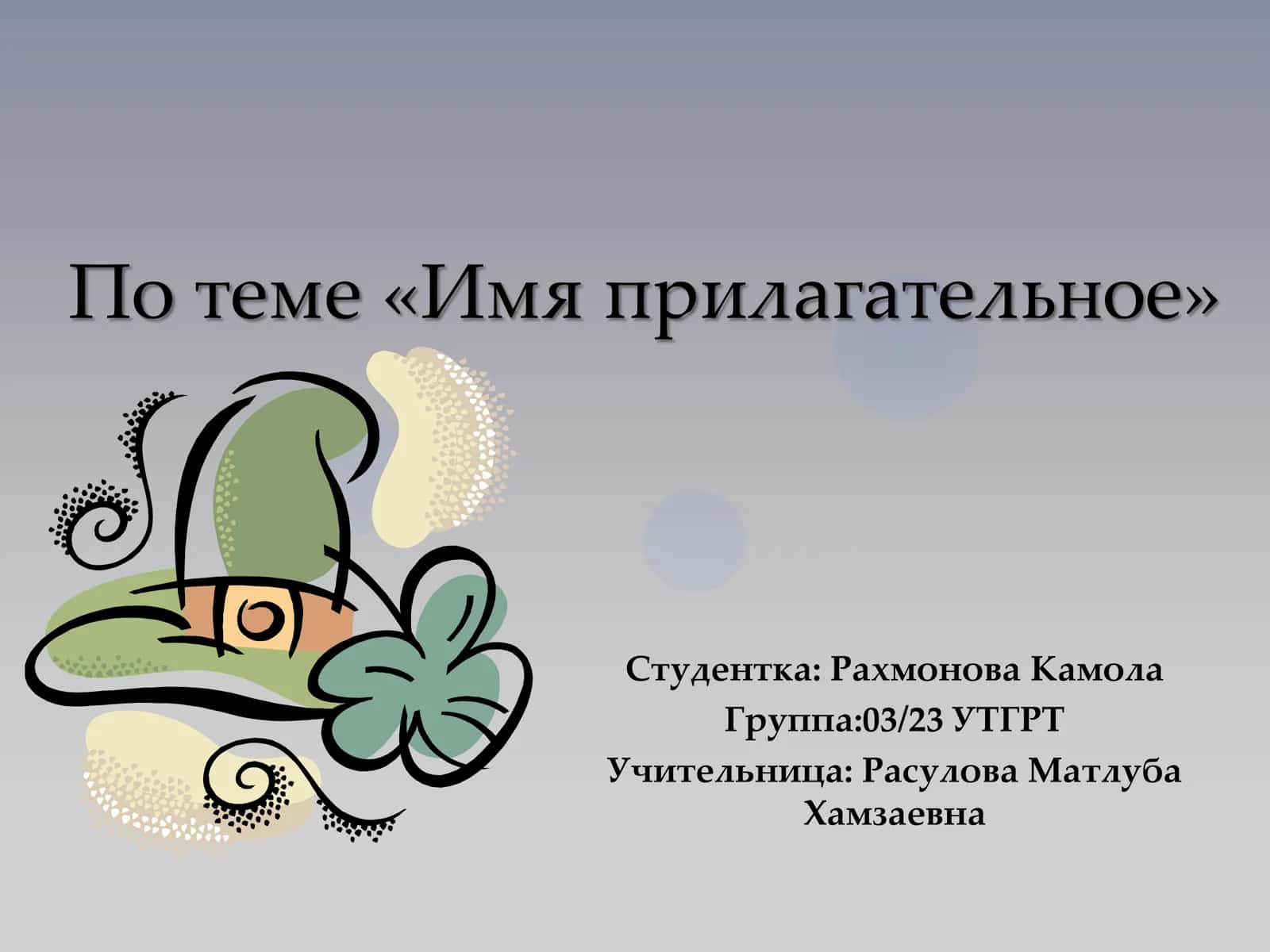 Имя прилагательное 1