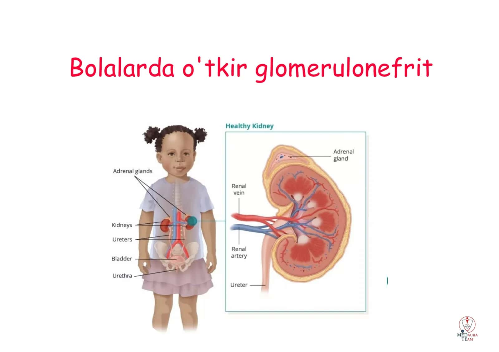 glomerulonefrit kasalligi 1