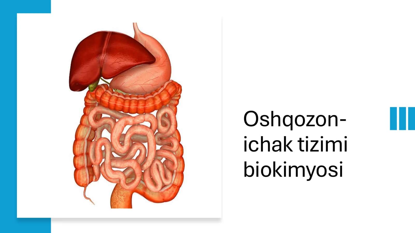 Oshqozon- ichak tizimi biokimyosi​ 1