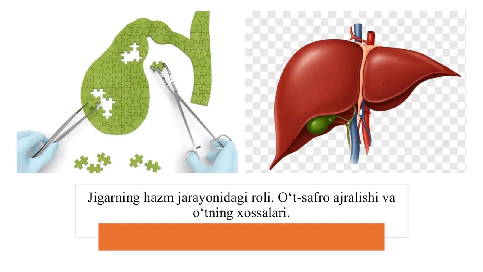 Jigarning hazm jarayonidagi roli. O‘t-safroajralishi va o‘tning xossalari. ​ 1