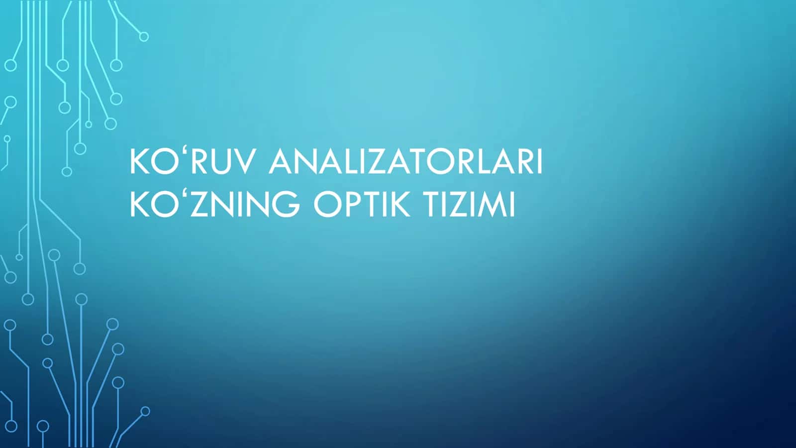 KOʻRUV ANALIZATORLARI 1