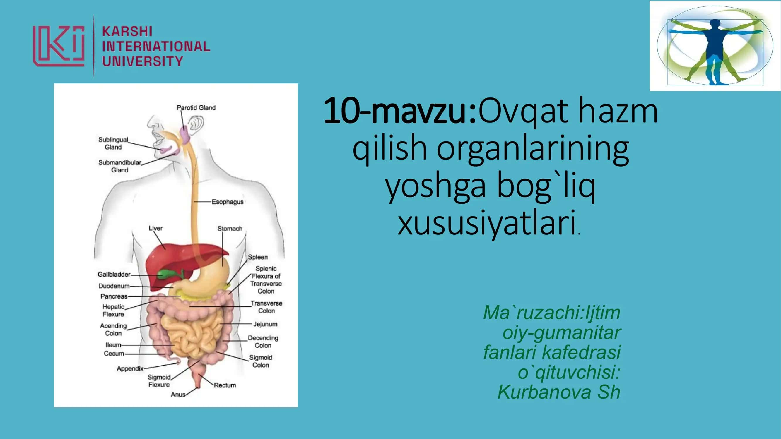 Ovqat hazmi 1