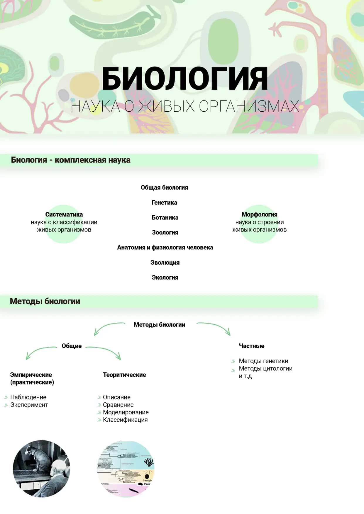 Общая биология (Umumiy biologiya) fanini rus tilida o'rganuvchi va o'rgatuvchilar uchun qo'llanma 1