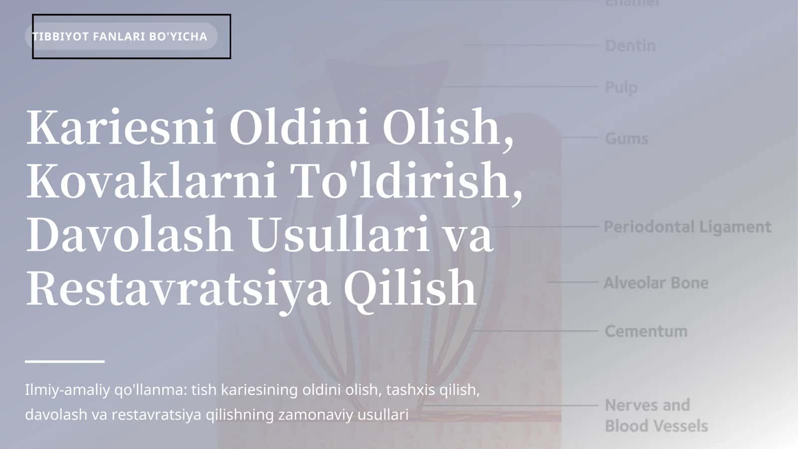 Kariesni Oldini Olish, Kovaklarni To'ldirish, Davolash Usullari va Restavratsiya Qilish 1