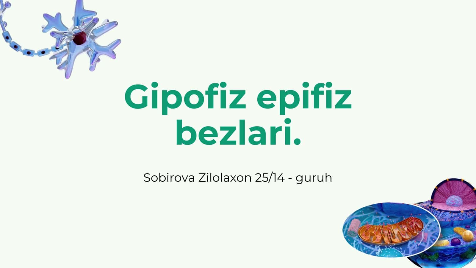 Gipofiz epifiz bezlari 1