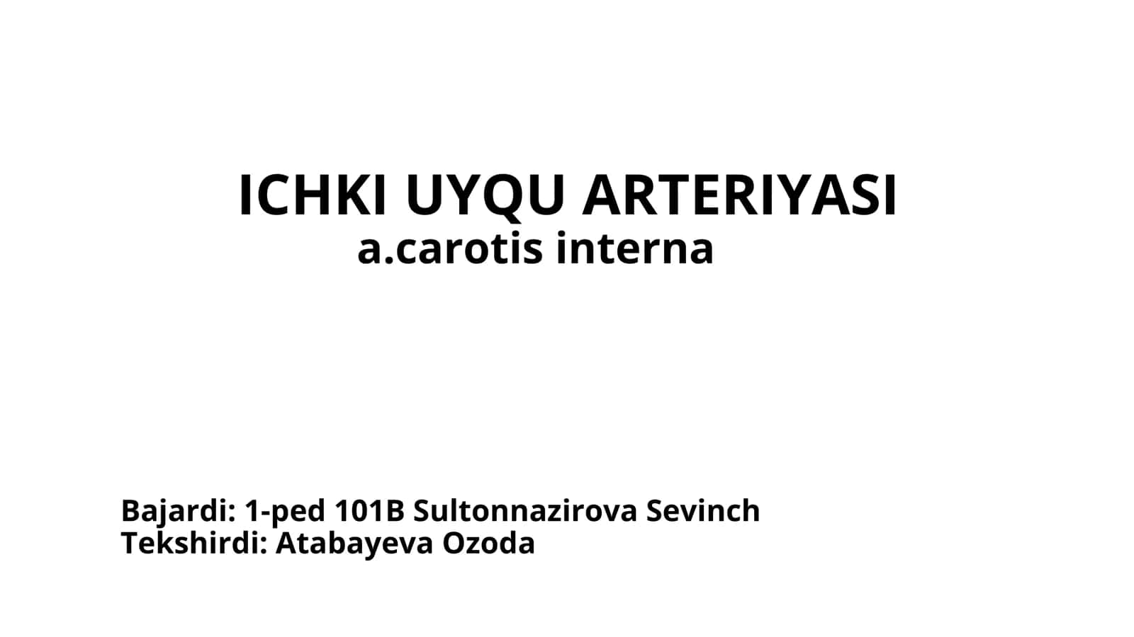 ICHKI UYQU ARTERIYASI 1