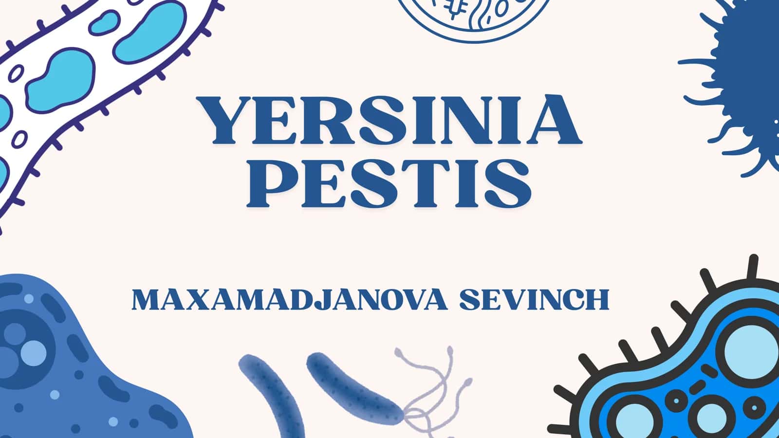 yersinia pestis 1