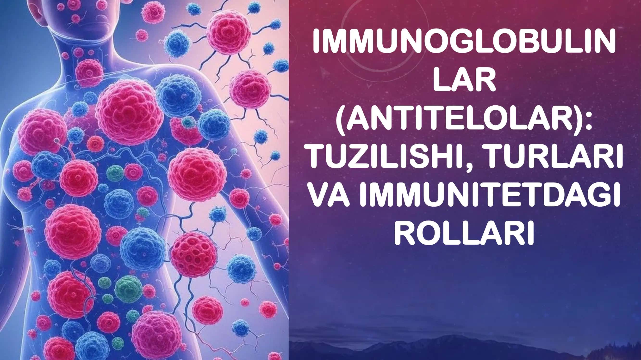 Immunoglobulinlar (Antitelolar) 1