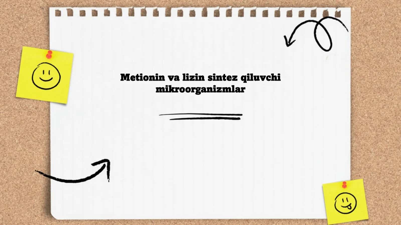 Metionin va lizin sintez qiluvchi mikroorganizmlar 1