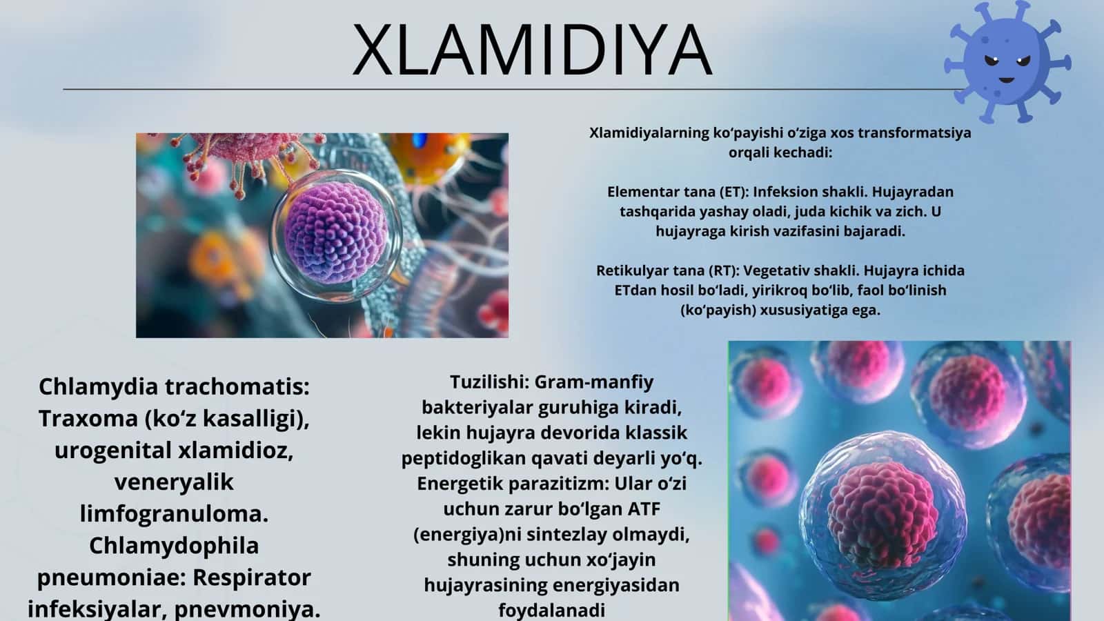 XLAMIDIYA 1