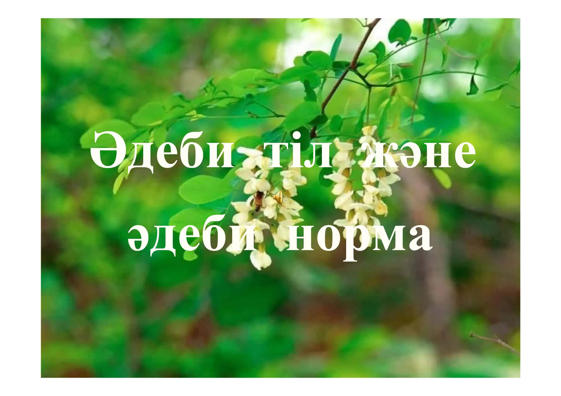 Әдеби тіл және әдеби норма 1