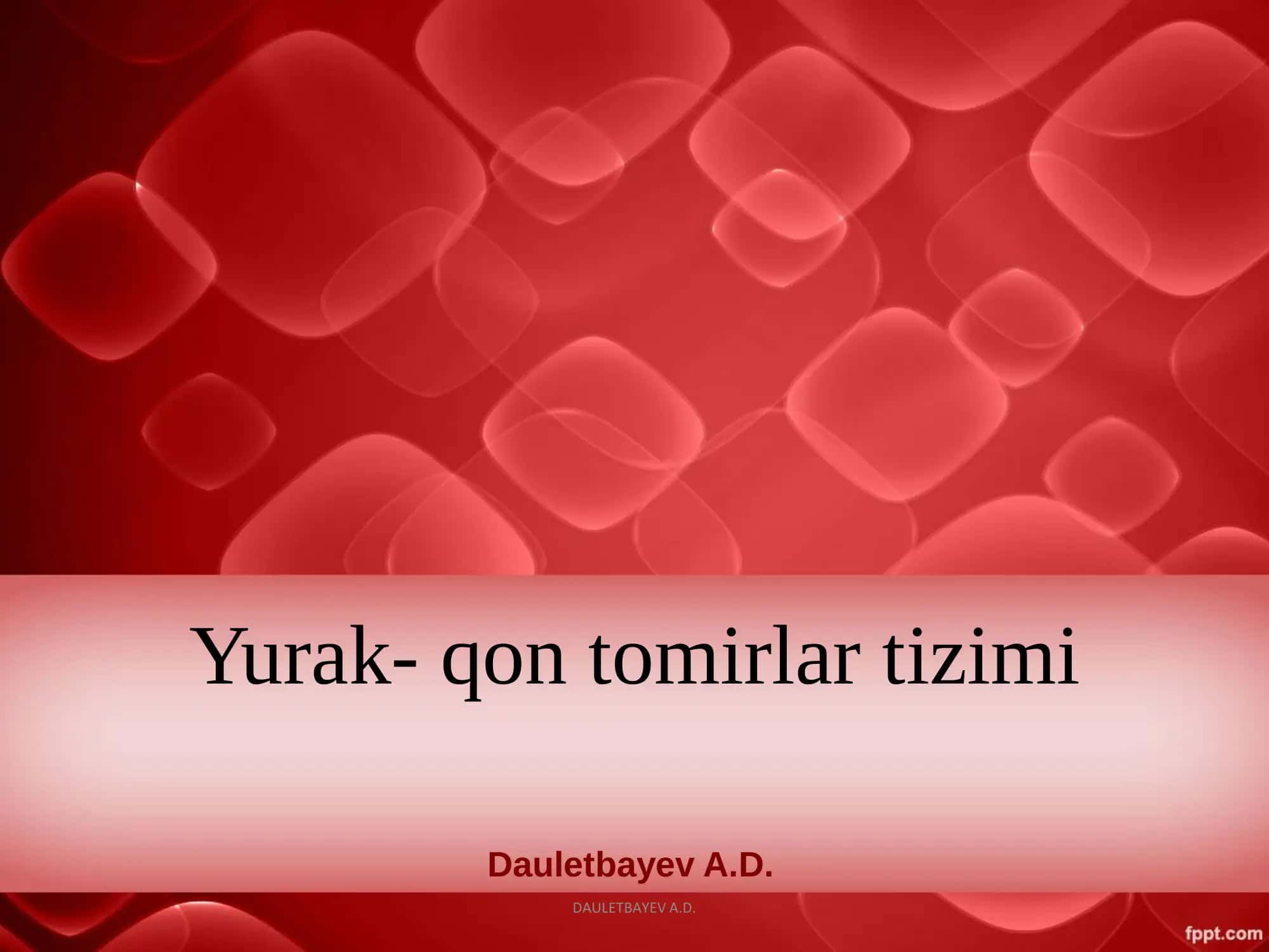 Yurak- qon tomirlar tizimi 1