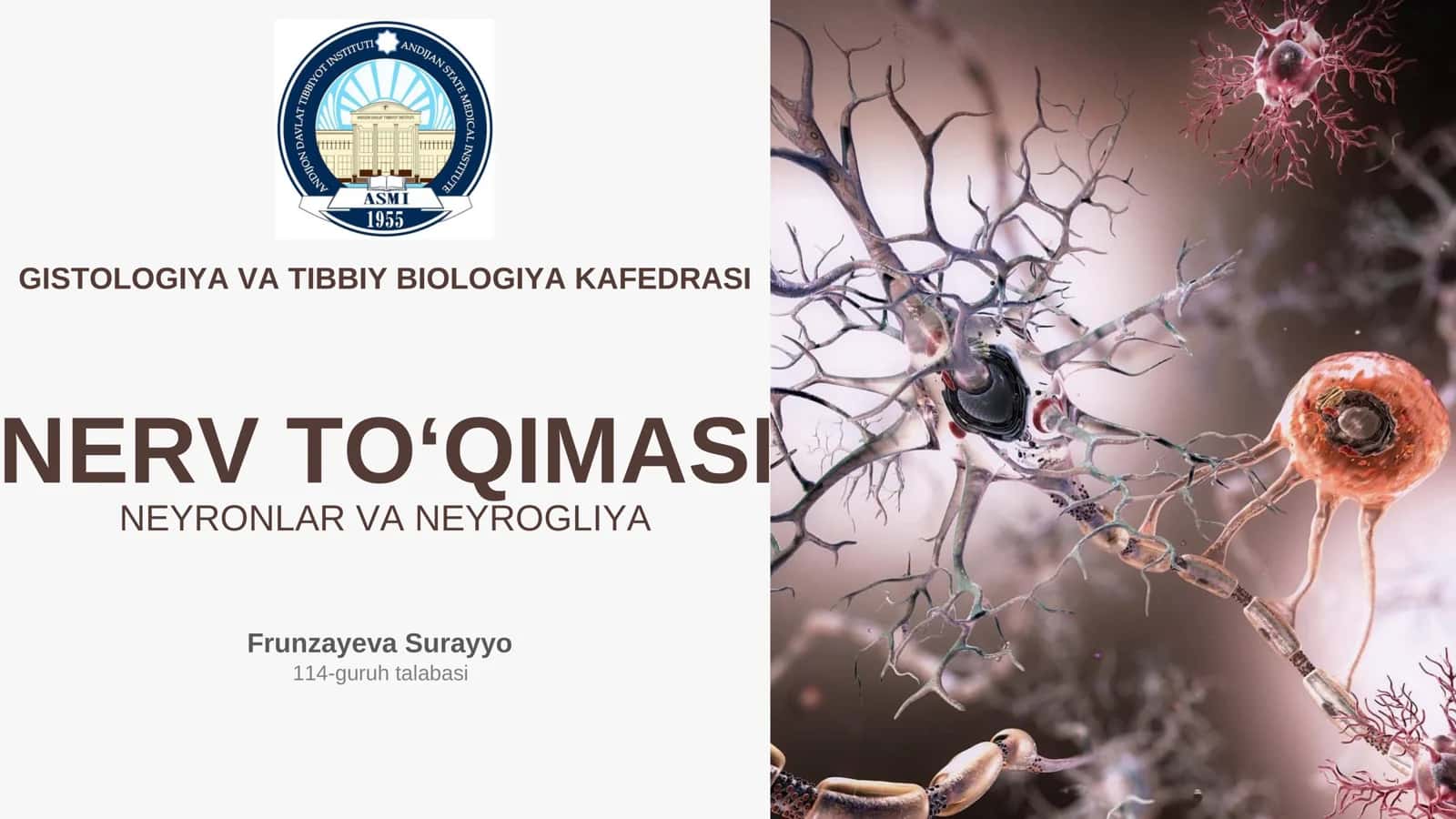 Nerv To'qimasi 1