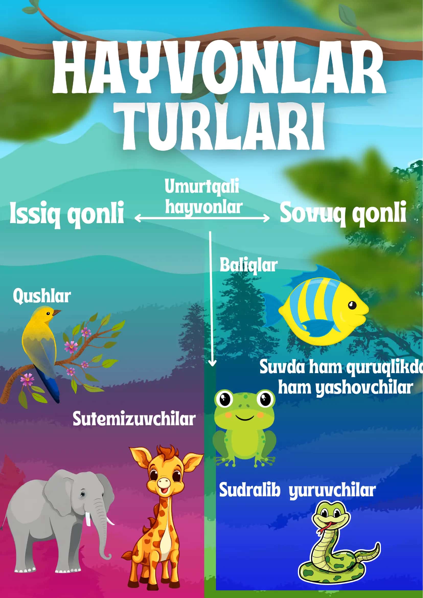 Hayvonlar turlari 1