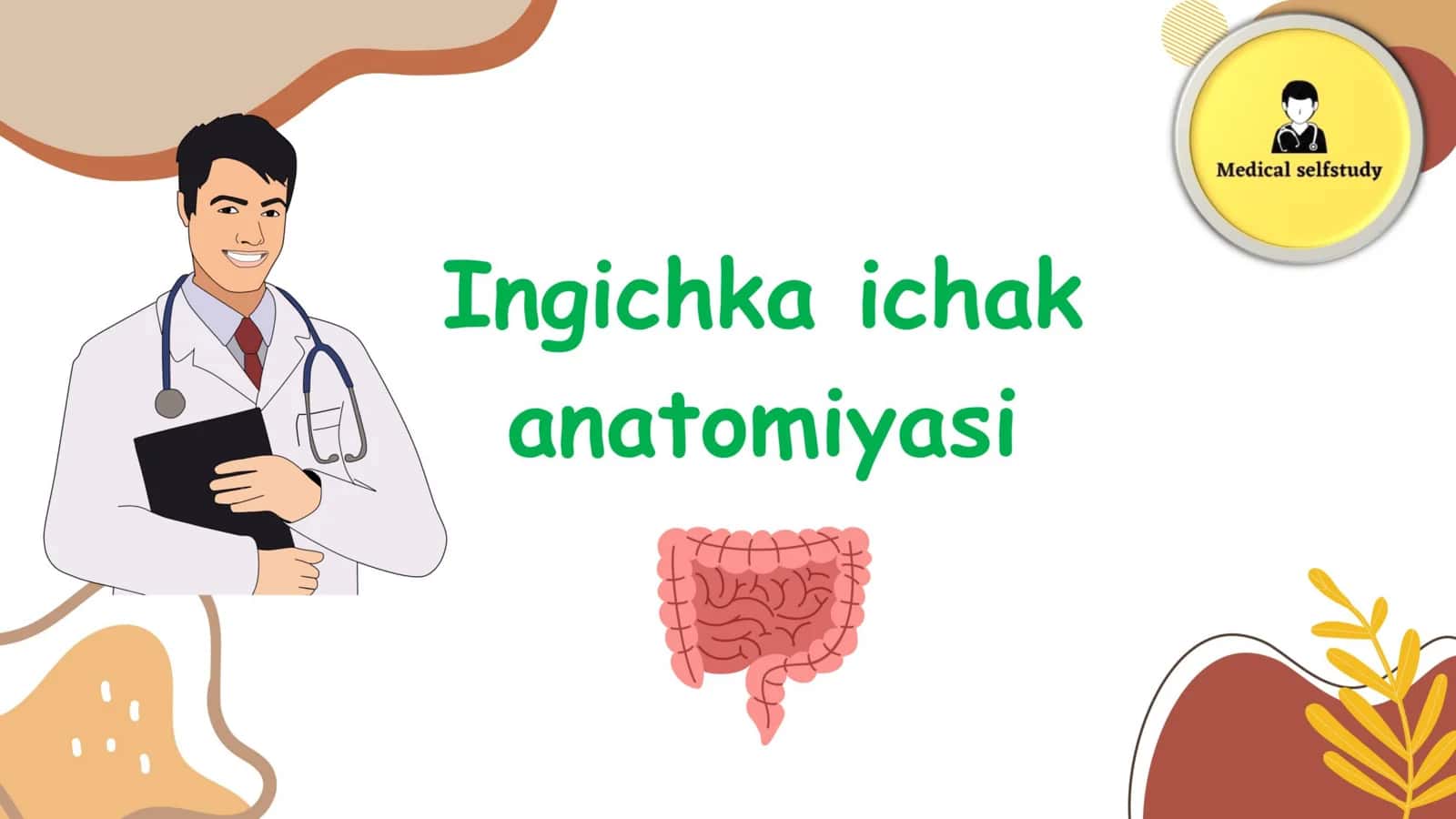 Ingichka ichak 1