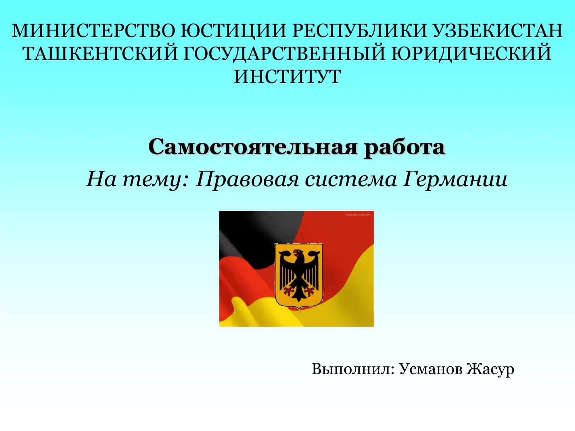 Правовая система Германии 1