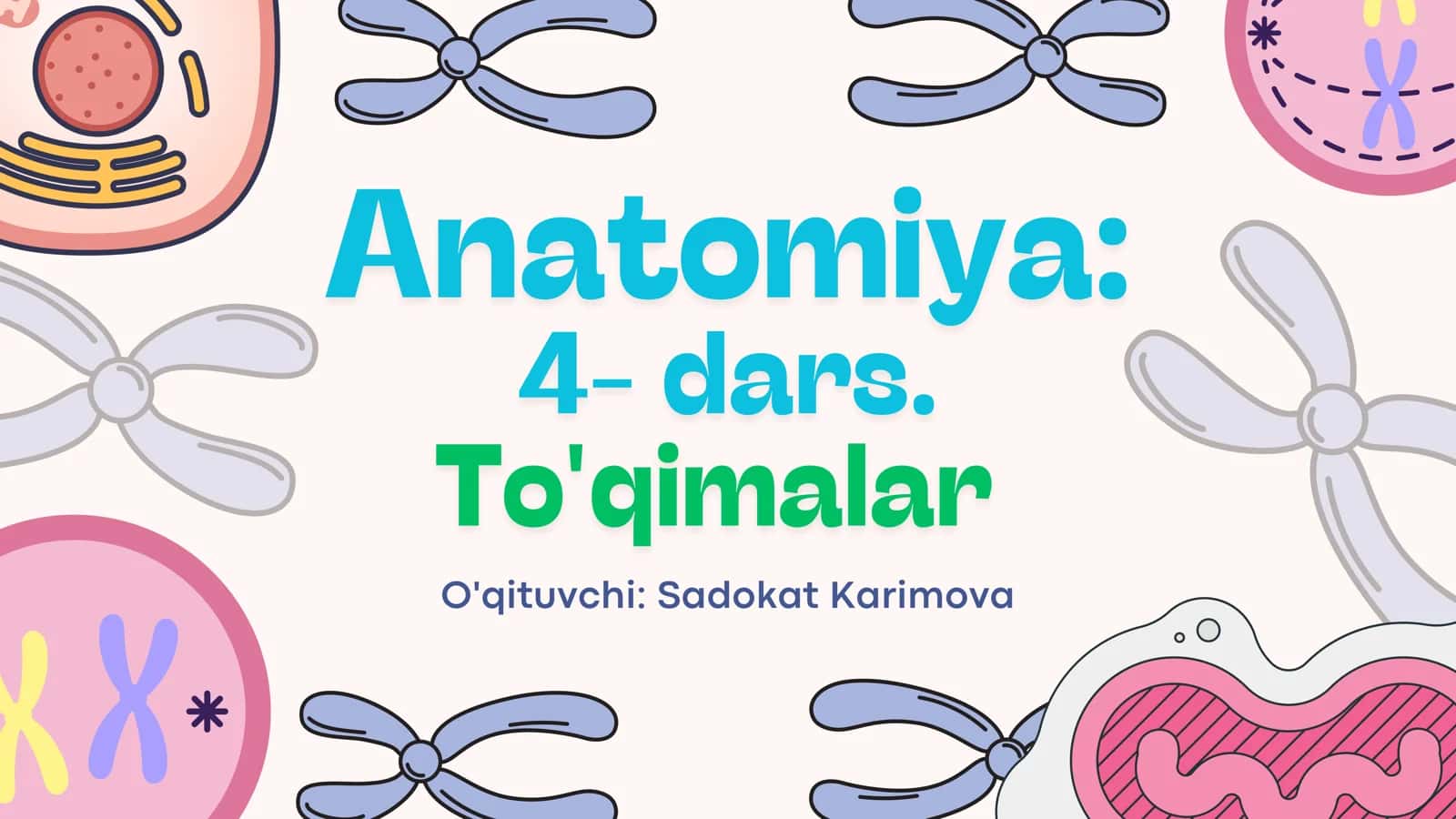 Anatomiya 4-dars 1